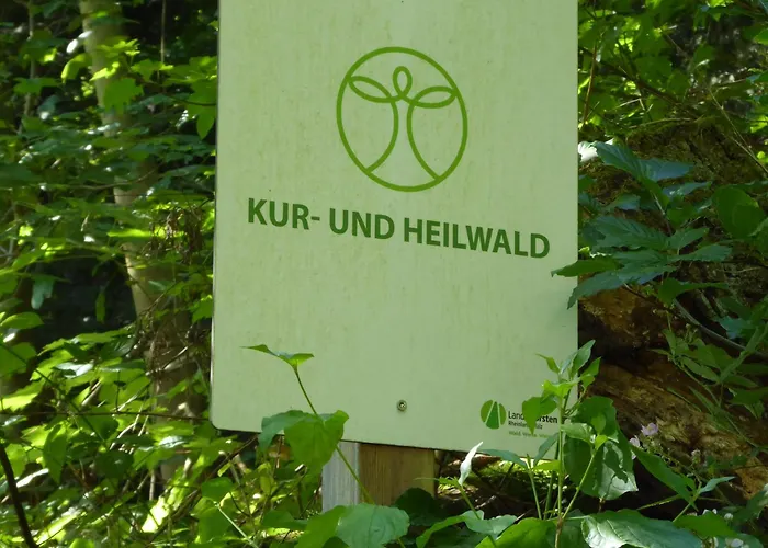 Stefi, Magischer Ausblick, Schwimmbad-sauna In * Lahnstein